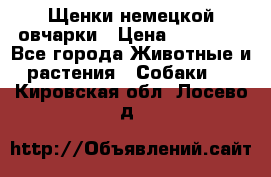 Щенки немецкой овчарки › Цена ­ 30 000 - Все города Животные и растения » Собаки   . Кировская обл.,Лосево д.